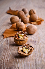 Walnut