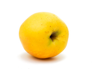 yellow apple on a white background