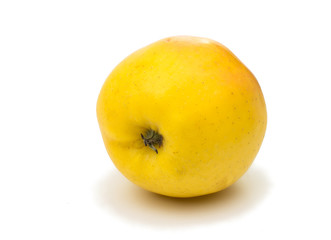 yellow apple on a white background