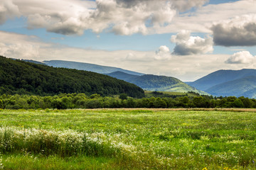 field near home in mountains