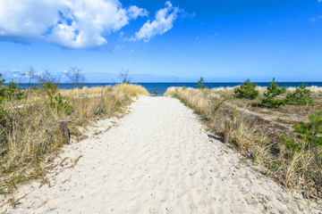 Fototapeta na wymiar levee with sandy path to beach at baltic sea