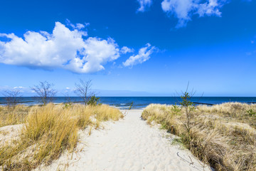 levee with sandy path to beach at baltic sea - obrazy, fototapety, plakaty