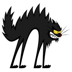 Cool cats - an angry black tomcat's fury