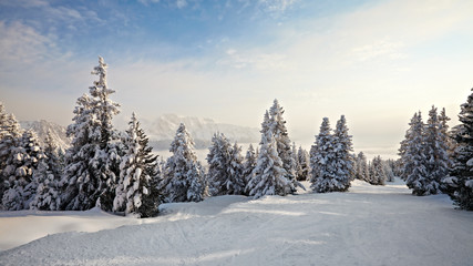 Fototapeta na wymiar Winter Landscape
