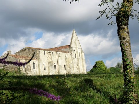 abbaye saint-pierre de maillezais