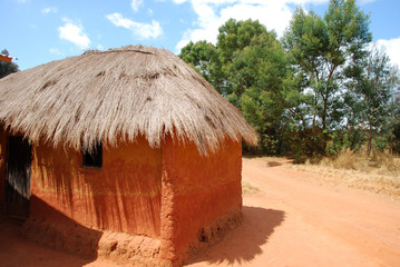 Fototapeta na wymiar A typical house in the village of African Pomerini - Tanzania -