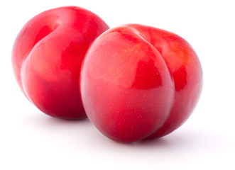 Sweet plum isolated on white background cutout
