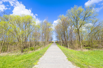 levee with sandy path to beach at baltic sea
