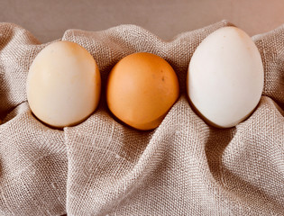 Eggs