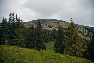 Carpathians mountains, Ukraine