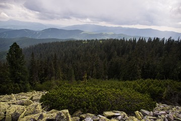 Fototapeta na wymiar Carpathians mountains, Ukraine