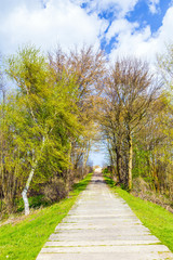 levee with sandy path to beach at baltic sea