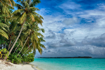 Maldives -Island in the Ocean, Beach and Рalm trees
