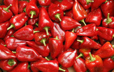 Red peppers ready for sale