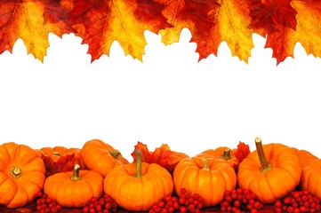 Naklejka na ściany i meble Autumn frame of pumpkins and vibrant leaves isolated on white