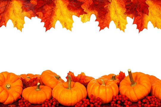 Autumn frame of pumpkins and vibrant leaves isolated on white