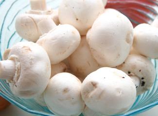 weisse champignions