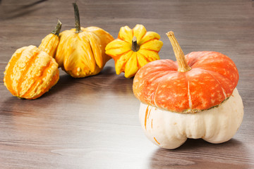 pumpkins variety