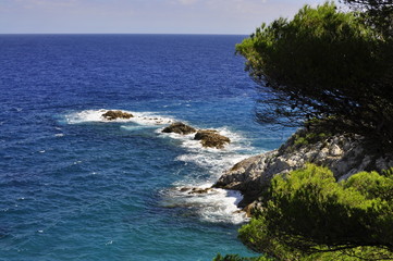 Fototapeta na wymiar coast of the Mediterranean Sea
