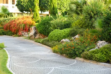 Crédence de cuisine en verre imprimé Couleur pistache Beautiful landscaping at park