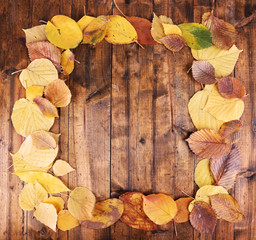Fototapeta na wymiar Leaves arranged as frame on brown wooden background