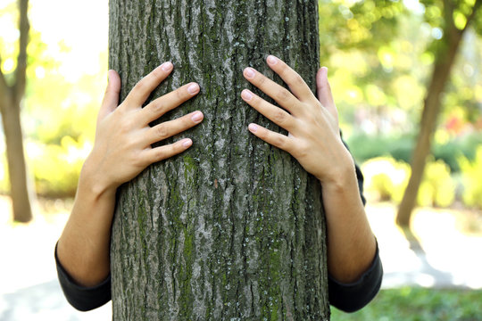 Person hugs trunk large tree, close-up