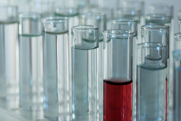 Test tubes on gray background