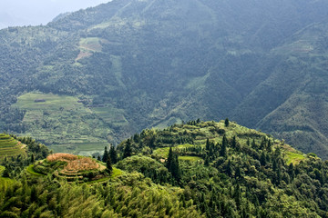 Fototapeta premium Rice terraces in the mountains.