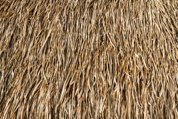 Dry grasses roof