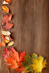 autumn leaf on wood background