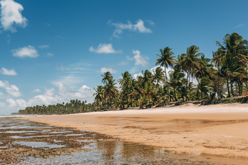 Low tide on Taipu de Fora beach, Marau, Brazil.