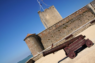 Canon devant le Fort de Fouras