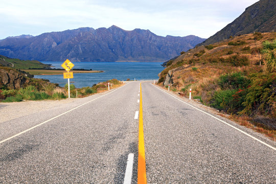 Highway New Zealand