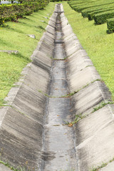 Concrete drainage channel in park.