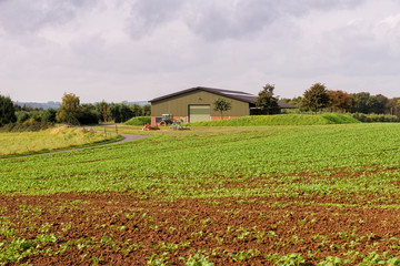 Fototapeta na wymiar Agricultural