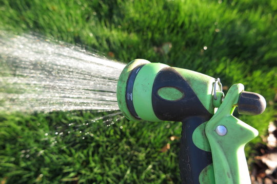 Watering lawn grass with an adjustable shower (spray)