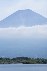 Fototapeta premium 田貫湖から見た富士