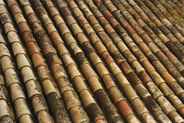 Background of old roof tiles covered by moss