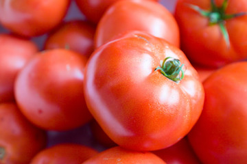 Fresh Tomatoes composition