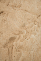 Dry agricultural brown soil detail natural background