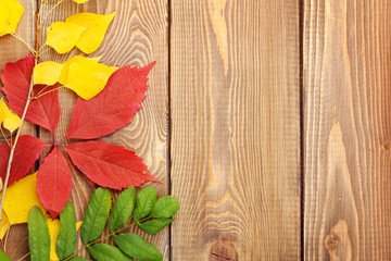 Naklejka na ściany i meble Autumn leaves over wood background