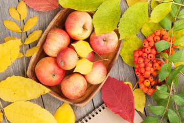 Naklejka na ściany i meble Autumn apples and leaves