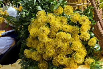 Blumenfestival in Madeira