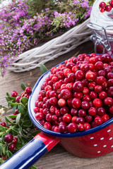 Lingonberries
