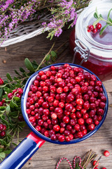Lingonberries