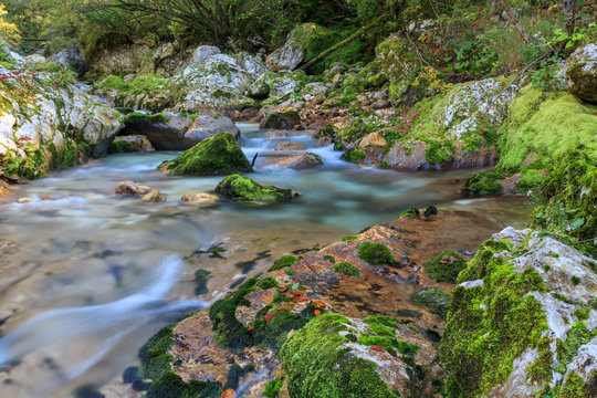 Mountain stream in the Lepena valley