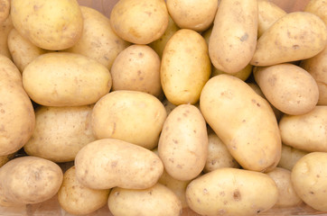 Potato Background - 71402110