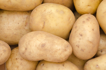 Potato Background