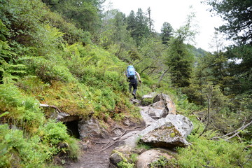 Wanderweg am Grawa-Wasserfall