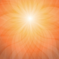 Sun Rays Vector